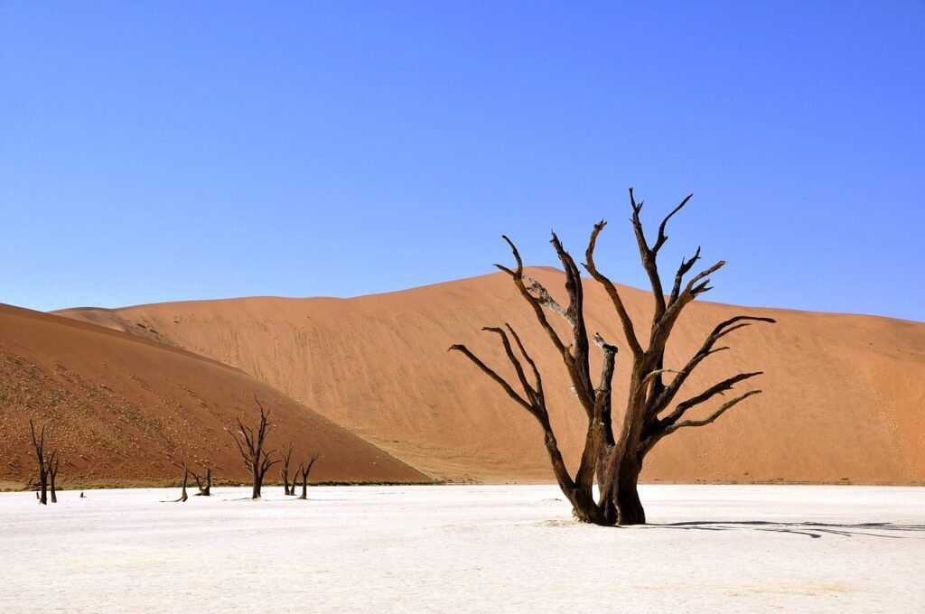 Dunas de Sossusvlei en Namibia - Paisajes surrealistas de Namibia