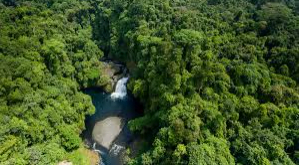 Cascadas impresionantes en la selva de Guinea - La magia natural de Guinea